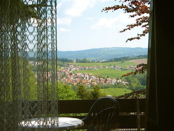 Ferienhaus Hajek Freyung Rom bilde