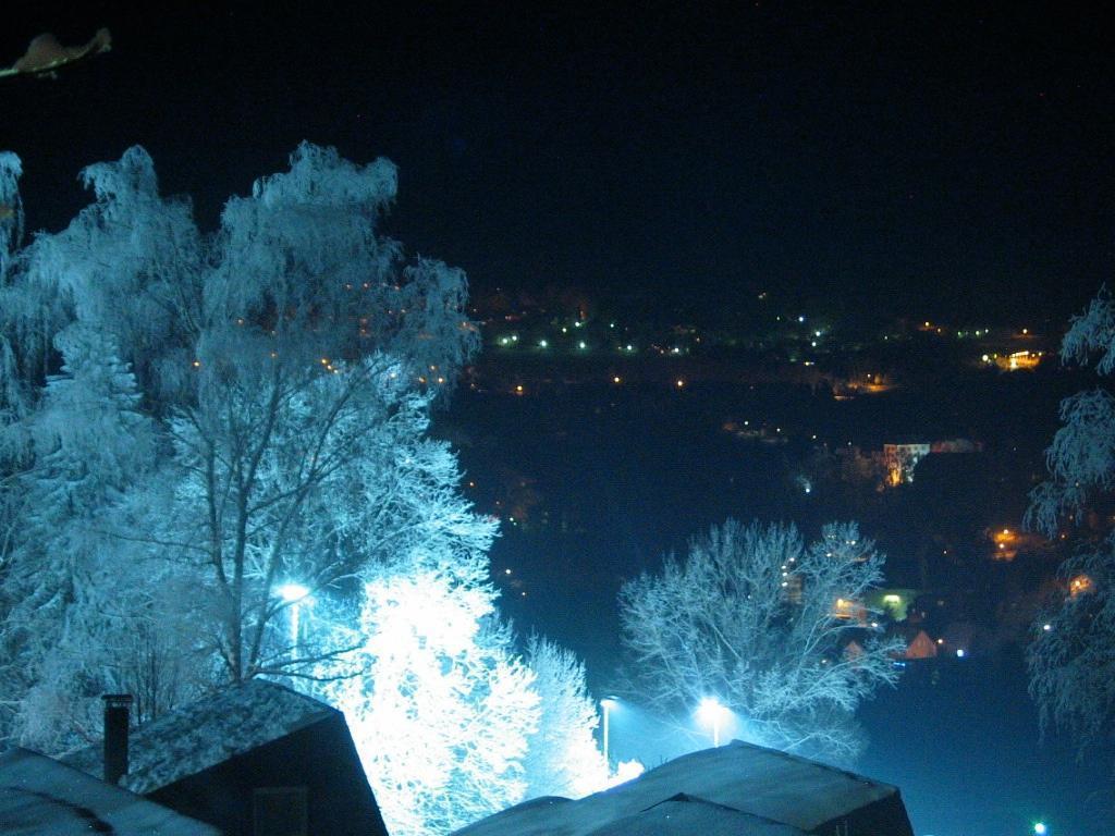 Ferienhaus Hajek Freyung Rom bilde